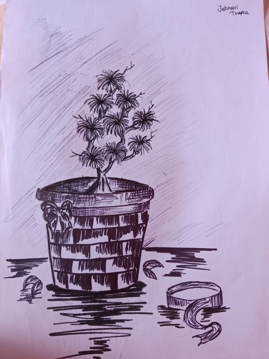 During The Lockdown I Created Many Drawings On Nature. And Here Are The Best Ones