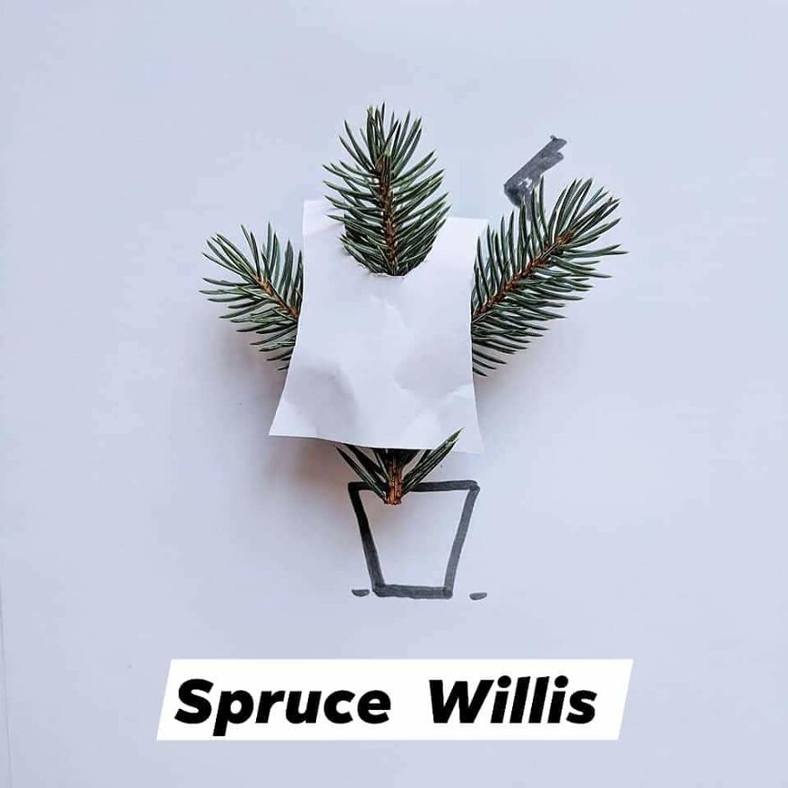 I Turn Famous Bruces Into Spruces (8 Pics)