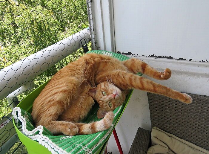 After A Long Stretch, The Head Somehow Got To The Wrong Place:)