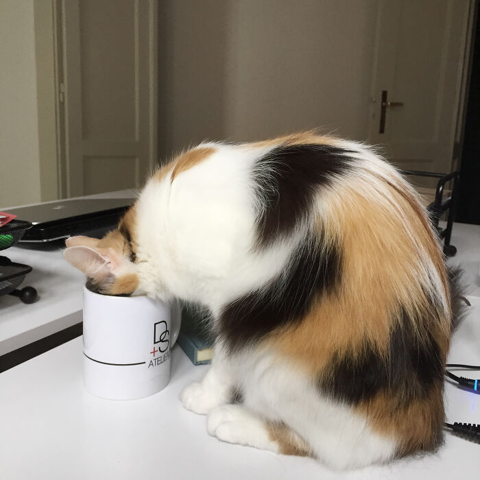 You Must Always Keep An Eye On Your Cup