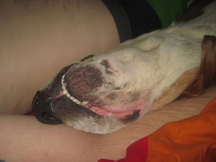 He Was Snoring Loudly, Too.