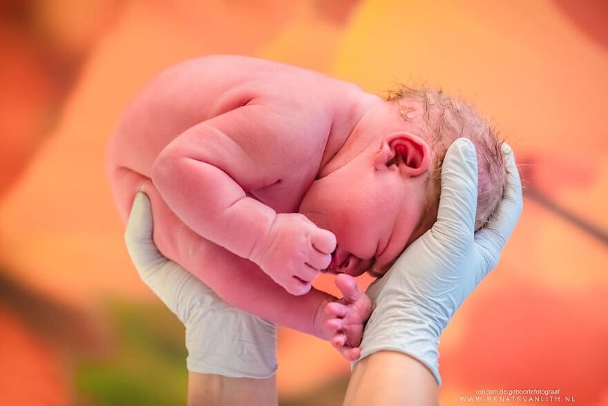 Birth-Photography-Renate-Van-Lith