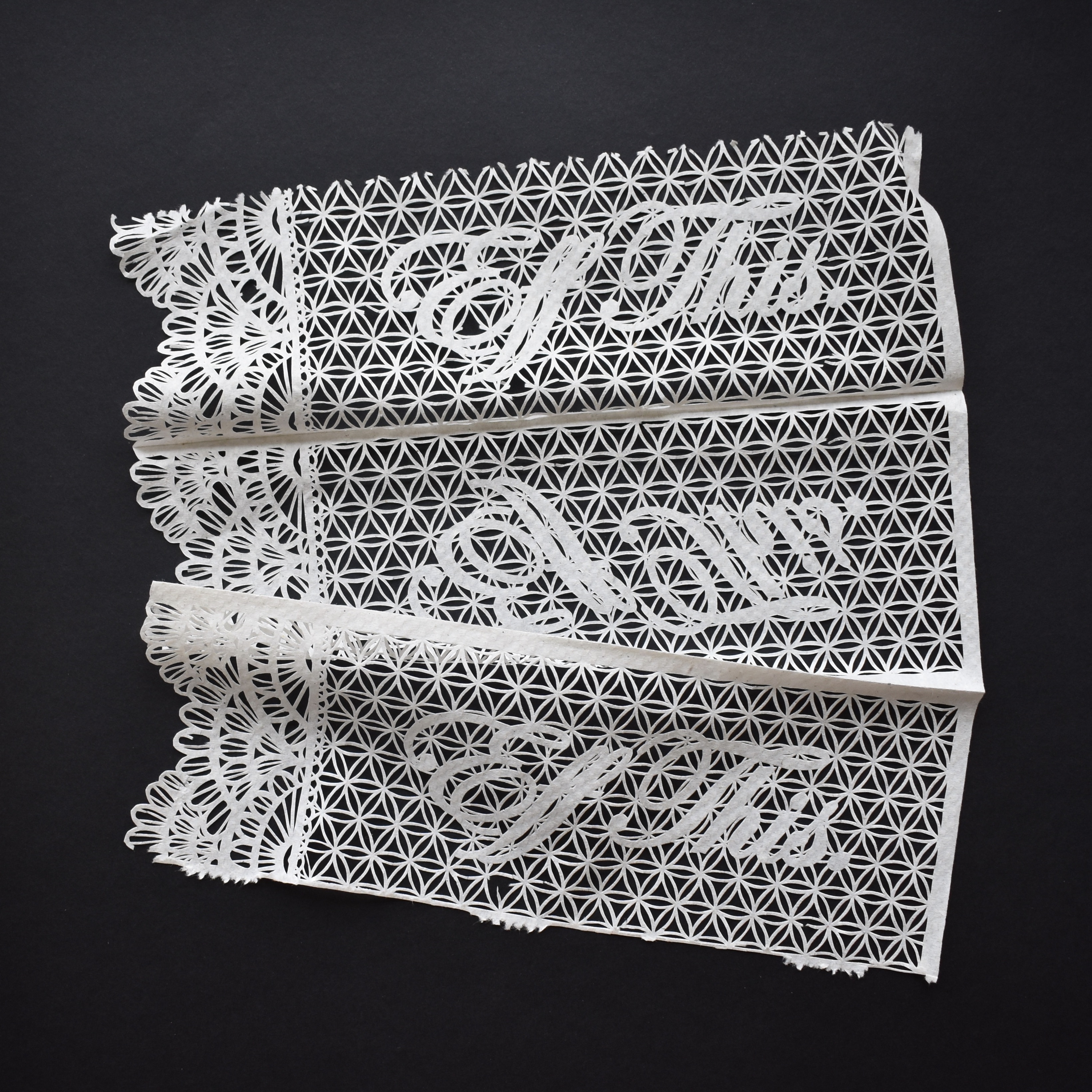 I Cut Holes In Household Paper Goods