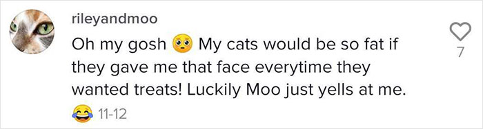 This Cat Does A Spot-On Puss In Boots Impression To Ask For Treats And His Owner Can Never Resist This Cat Does A Spot-On Puss In Boots Impression To Ask For Treats And His Owner Can Never Resist