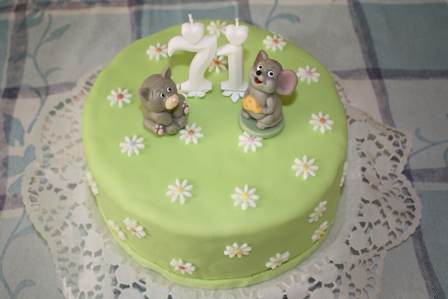 2019, Beginning Of The Adventures Of The Marzipan Cat