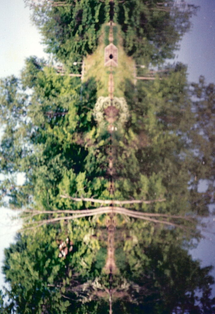 "Nature's Totem"... I Waited Over An Hour For Wind To Calm & Debris To Pass.