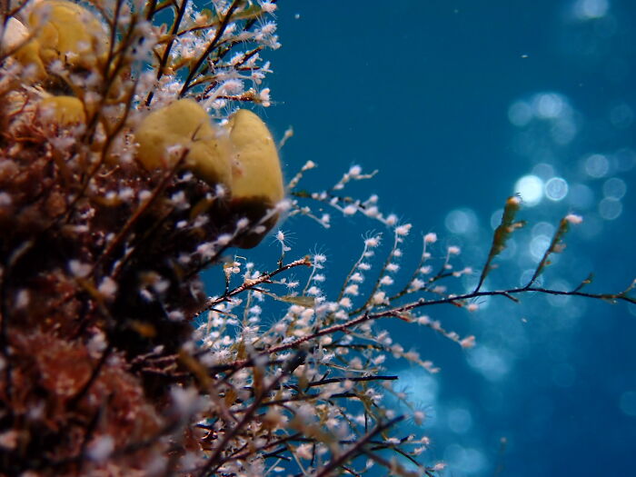 A Little Serenity Below The Surface