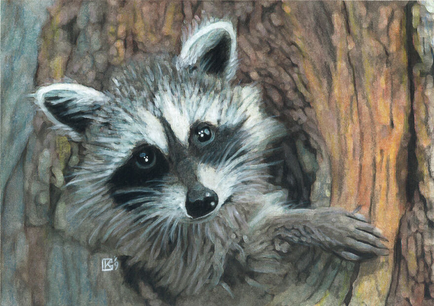 I Sold My Art To Make Fundraiser Donations For Animal Rescue Organizations