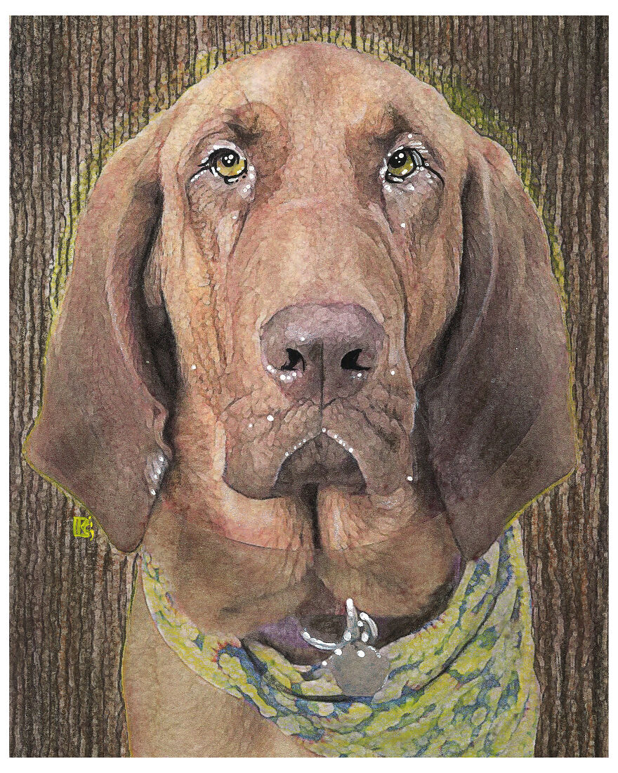 I Sold My Art To Make Fundraiser Donations For Animal Rescue Organizations