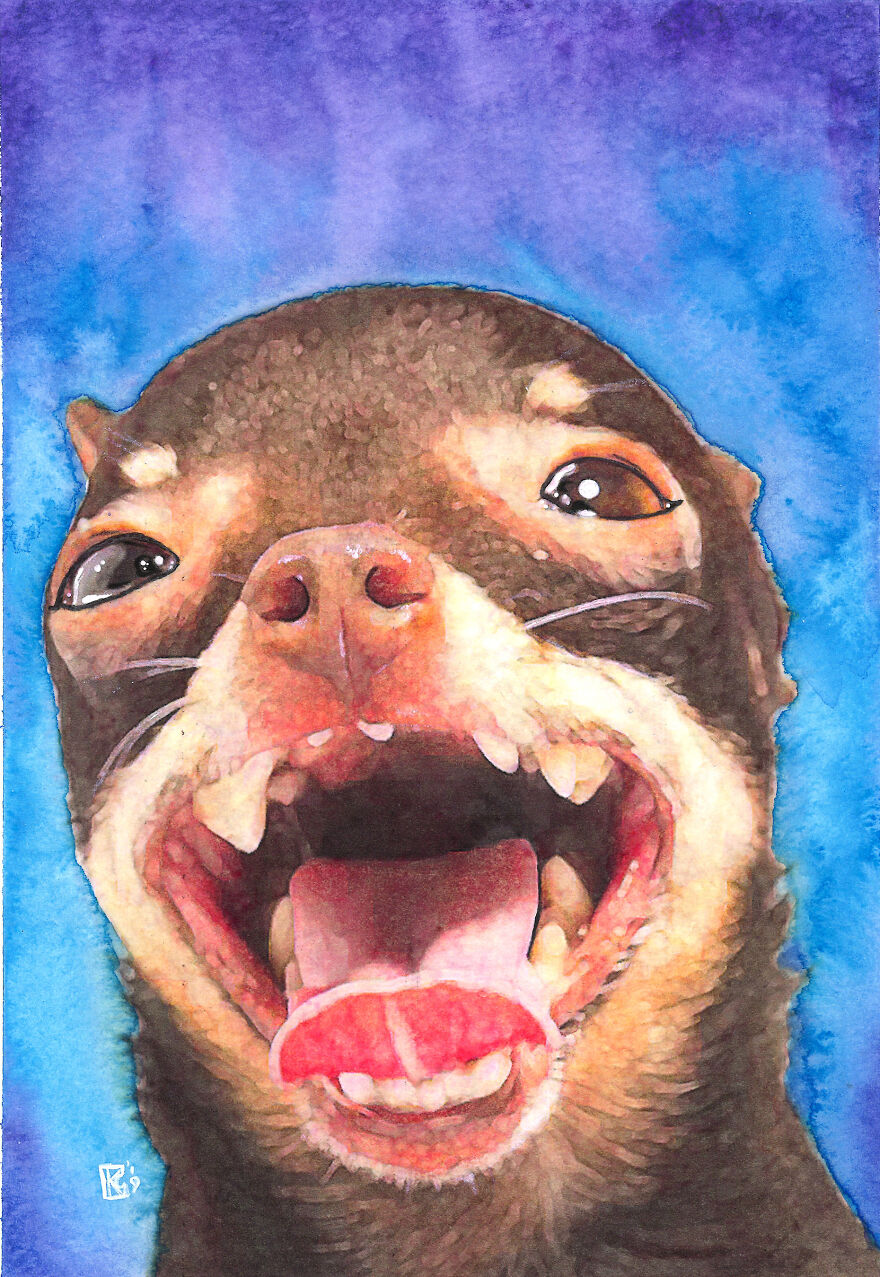 I Sold My Art To Make Fundraiser Donations For Animal Rescue Organizations