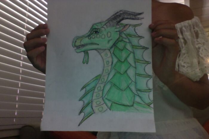 Also Here Is A Seawing