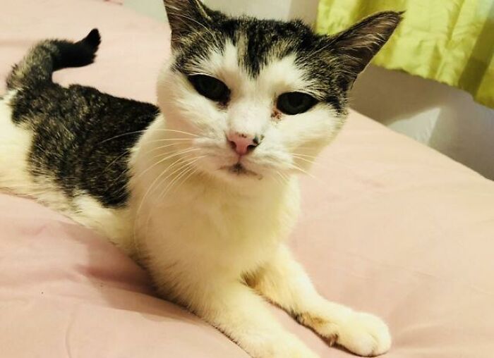 Woman Shares Pics Of Her And Her Cat In 1998 And 2018, And They Go Viral Woman Shares Pics Of Her And Her Cat In 1998 And 2018, And They Go Viral