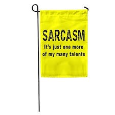 Sarcasm-5fc3ee07226ce.jpg
