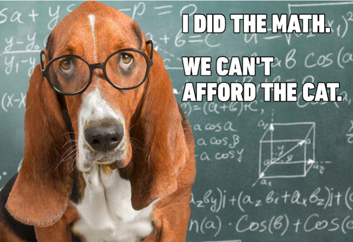 Dog wearing glasses in front of a chalkboard with funny meme text about math and affording a cat.