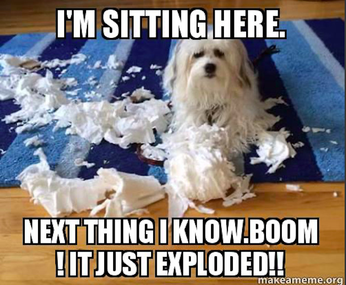 I Was Minding My Business And It Just Exploded Or Something