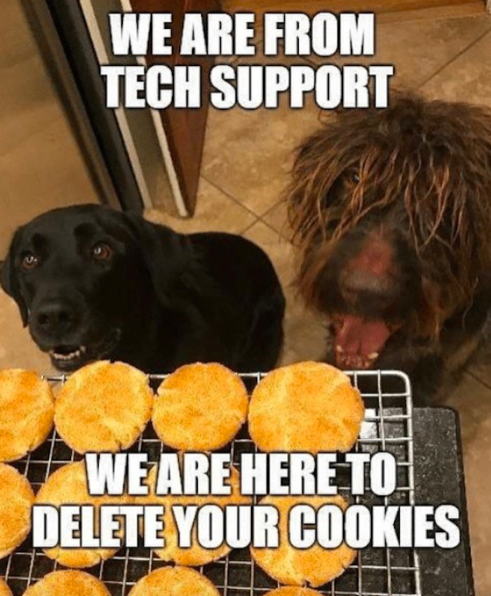 It's Tech Support