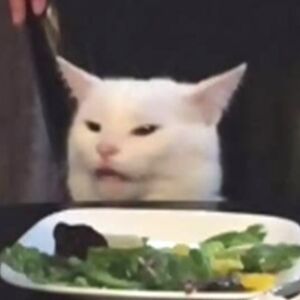 alexandramuximy avatar