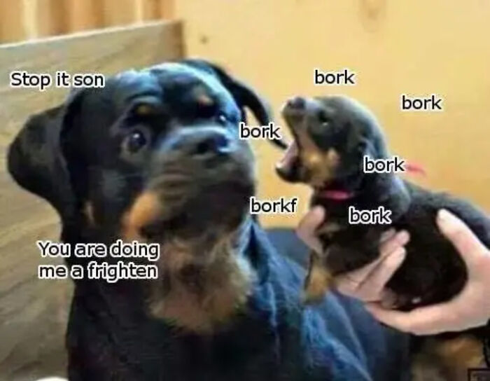 Two dogs, an adult and a puppy, with humorous text bubbles showing playful bork sounds in funny dog memes.