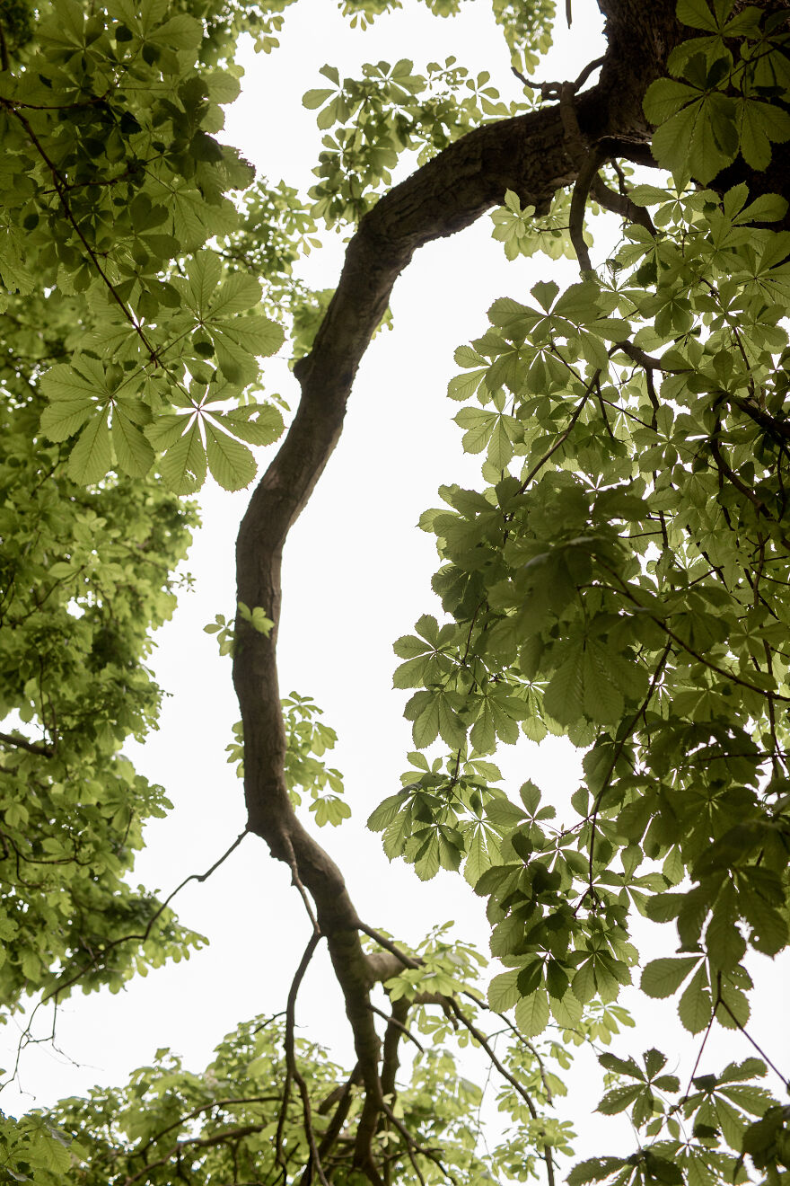 Le Curve Della Natura