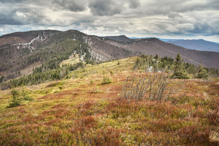 I Want To Show You The Essential Beauty Of The Ukrainian Carpathians With My Photos, Music And Videos.