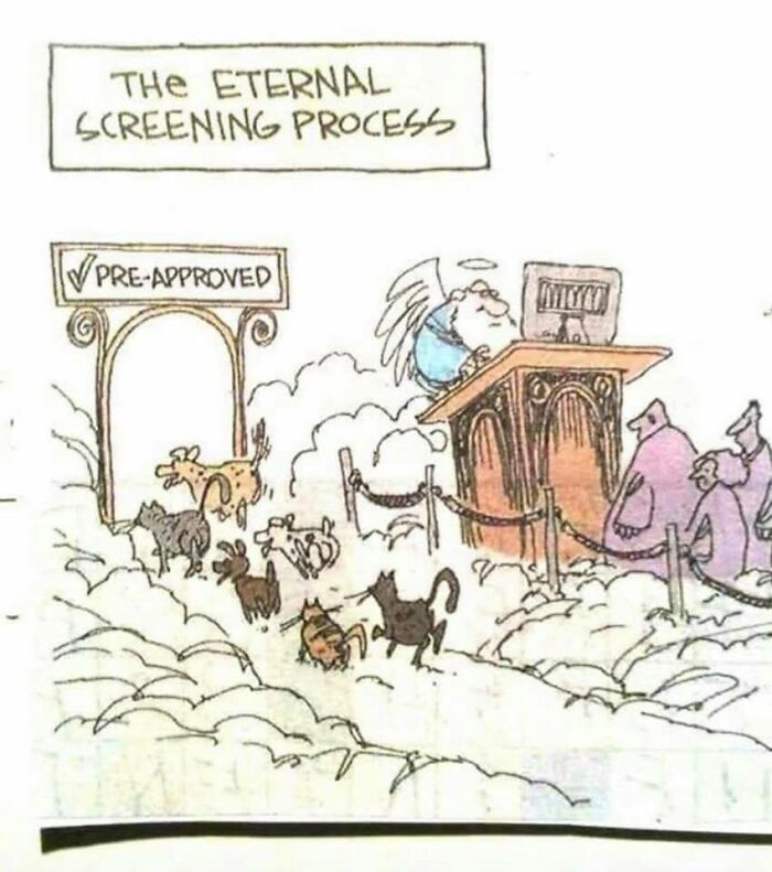 Dogs lined up at a heavenly gate with a "Pre-Approved" sign, part of a humorous meme theme.