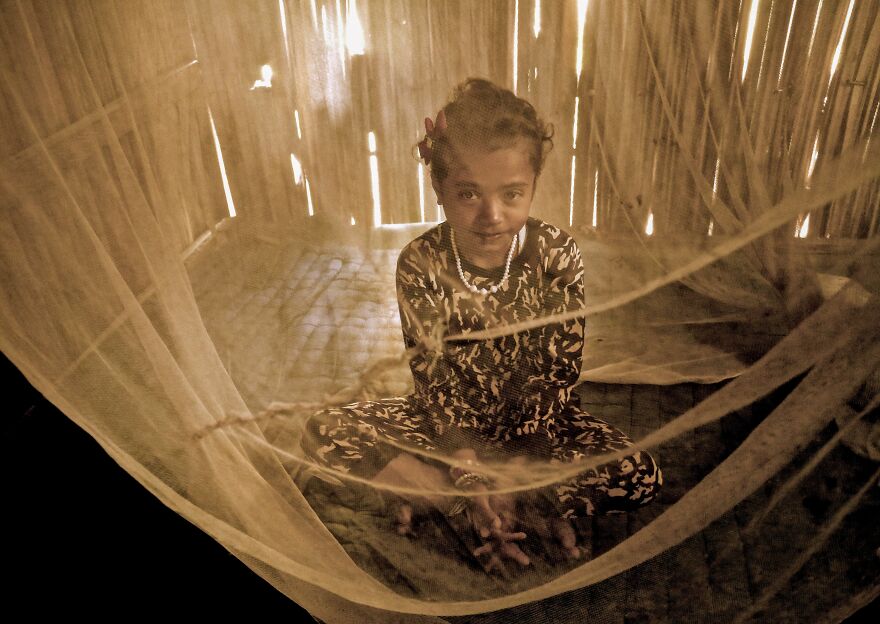 Invisible Faces Of Malaria