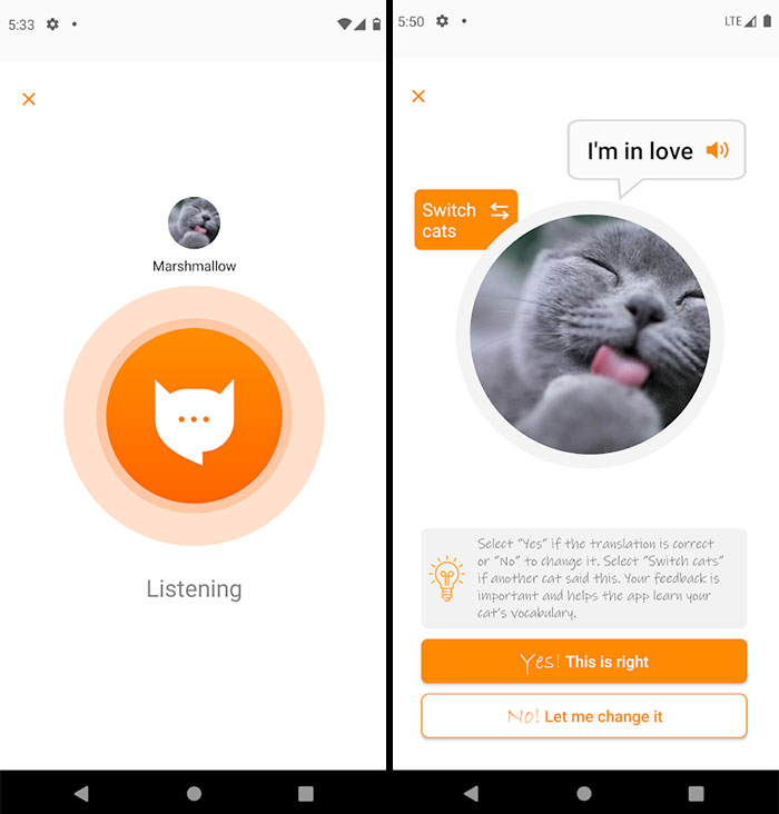 This App Translates Cats' Meows Into Words We Can Understand This App Translates Cats' Meows Into Words We Can Understand