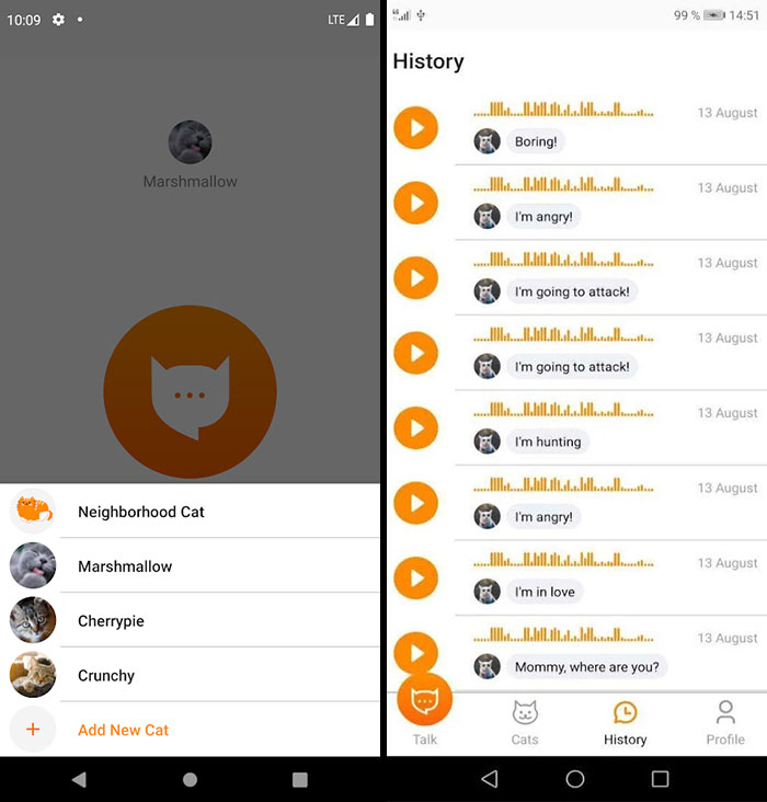 This App Translates Cats' Meows Into Words We Can Understand This App Translates Cats' Meows Into Words We Can Understand