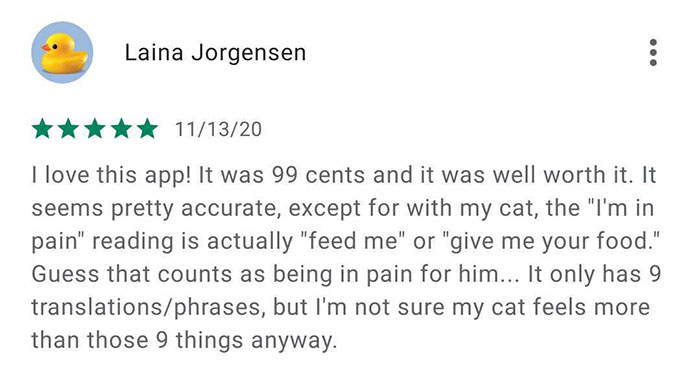 This App Translates Cats' Meows Into Words We Can Understand