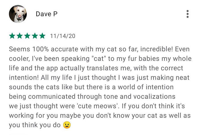 This App Translates Cats' Meows Into Words We Can Understand