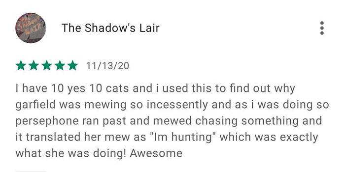 This App Translates Cats' Meows Into Words We Can Understand