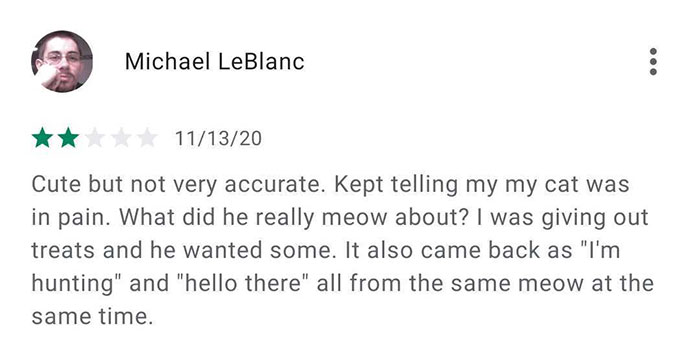 This App Translates Cats' Meows Into Words We Can Understand This App Translates Cats' Meows Into Words We Can Understand