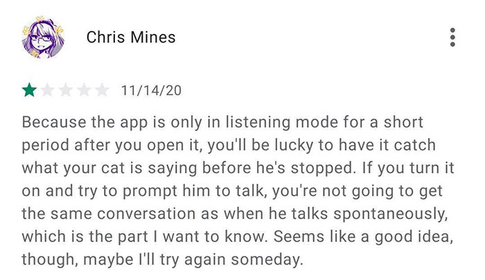 This App Translates Cats' Meows Into Words We Can Understand