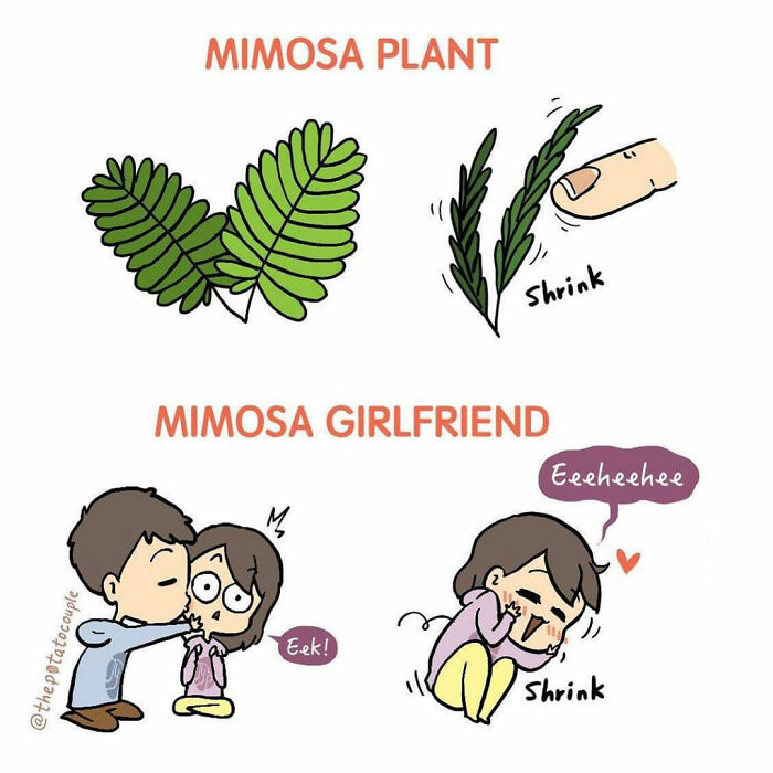 This Is My Self-Made Gps