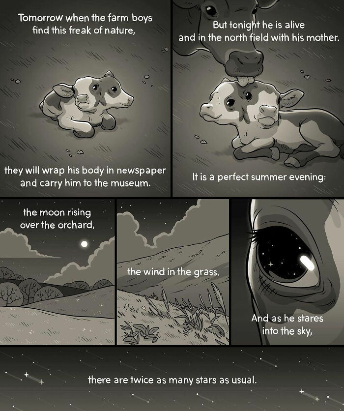 Funny Comics That Reveal Everyday Life With A Touch Of Humor By Adam Ellis