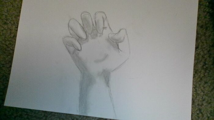 A Semi-Realistic Hand I Drew