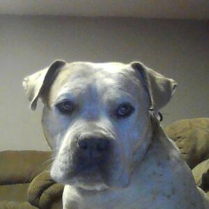 journeyalvarado avatar