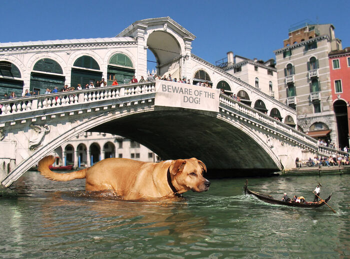 What Would Happen If Giant People "Invaded" Our Cities? Digital Artists Bring That Answer