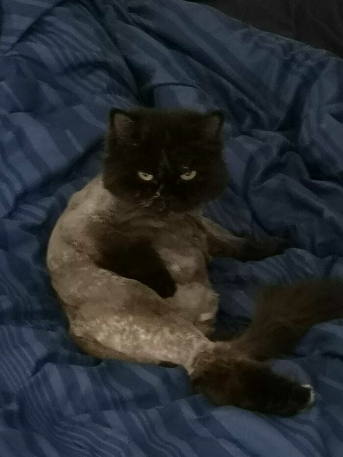 A Little Privacy Please?