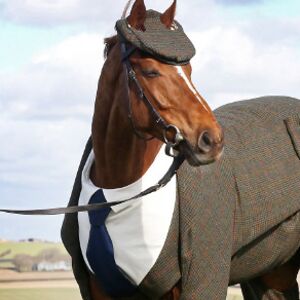 rahshadswinton_1 avatar