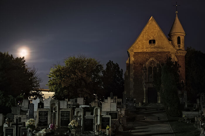 I Shot This For Halloween - Almost Perfect Mood (Stacked From 3 Images)