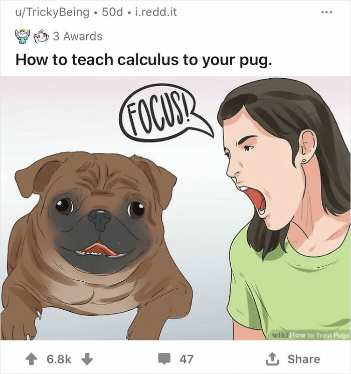 Alternate-Fake-Captions-Out-Of-Context-Wikihow-Images