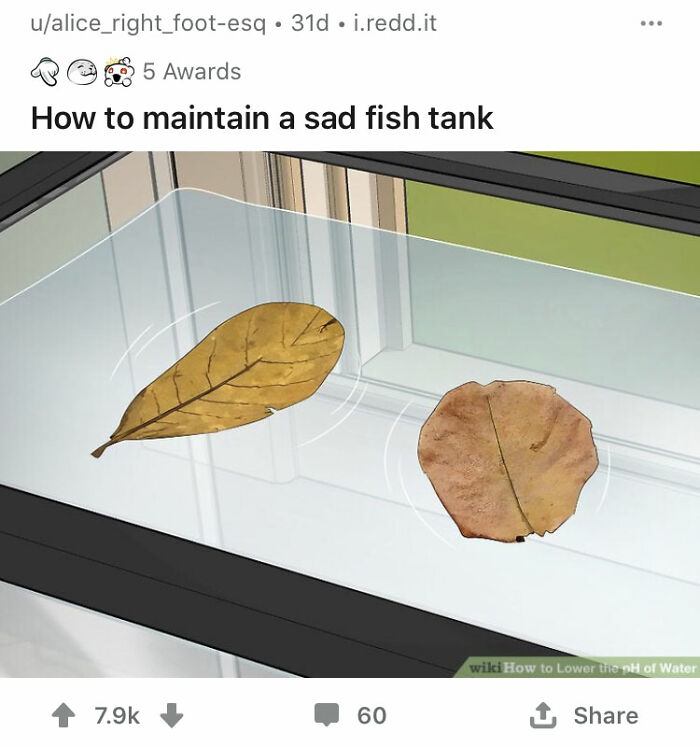 Alternate-Fake-Captions-Out-Of-Context-Wikihow-Images