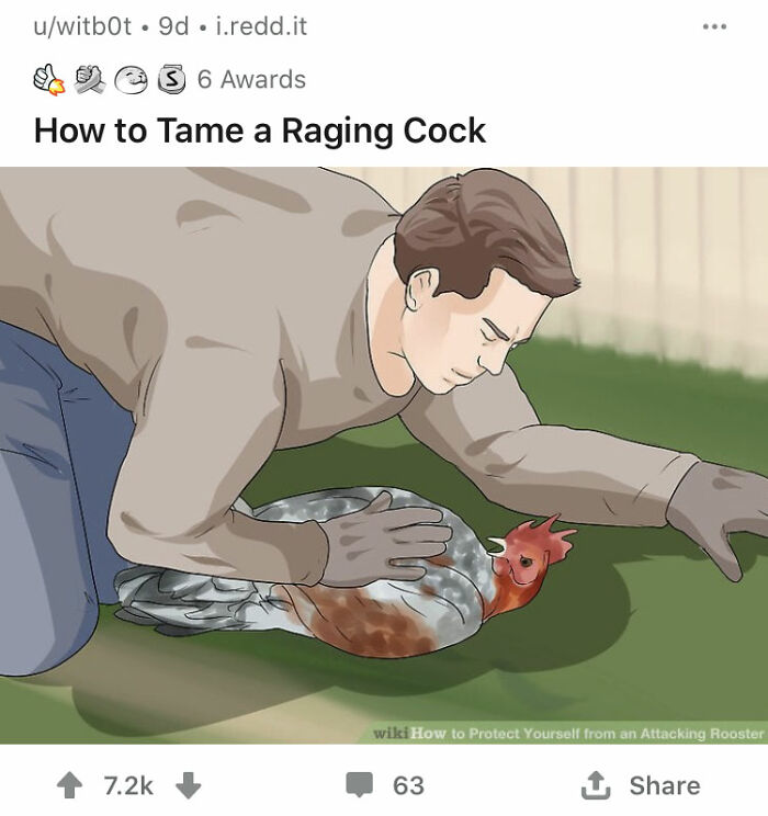 Alternate-Fake-Captions-Out-Of-Context-Wikihow-Images