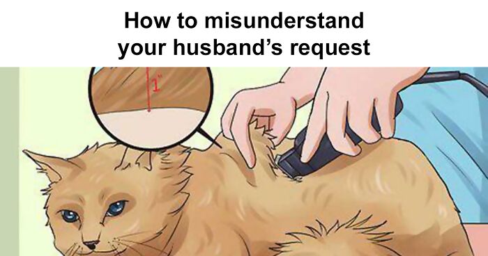 30 Out Of Context WikiHow Captions You’ll Feel Guilty For Laughing At (New Pics)