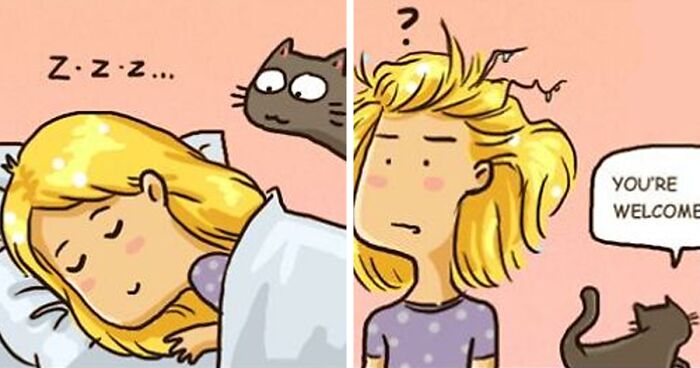 31 Comics That Cat Lovers Will Totally Relate To By This Comic Artist (New Pics)