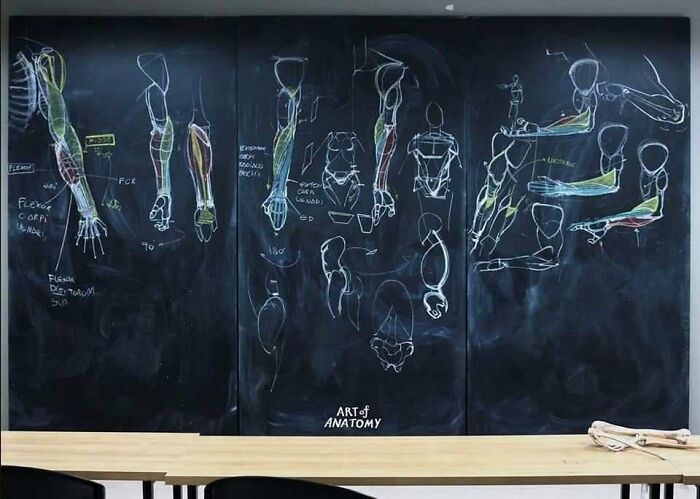 Pics From This Anatomical Drawing Class In Thailand Are Going Viral Pics From This Anatomical Drawing Class In Thailand Are Going Viral