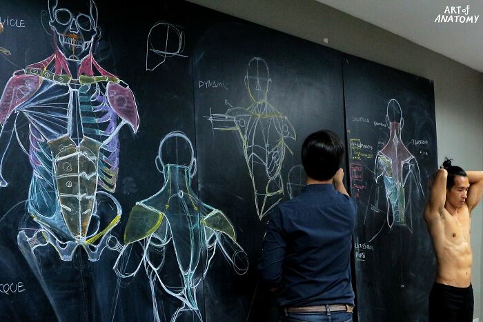Pics From This Anatomical Drawing Class In Thailand Are Going Viral Pics From This Anatomical Drawing Class In Thailand Are Going Viral
