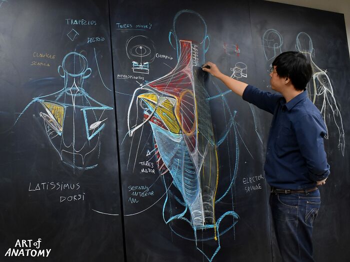 Pics From This Anatomical Drawing Class In Thailand Are Going Viral Pics From This Anatomical Drawing Class In Thailand Are Going Viral