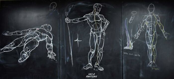Pics From This Anatomical Drawing Class In Thailand Are Going Viral Pics From This Anatomical Drawing Class In Thailand Are Going Viral